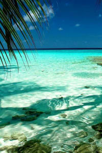 Top 10 Exhilarating Things To Experience In Bali! 1 things to do in Bali